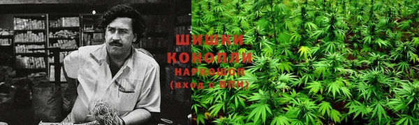хмурый Абаза