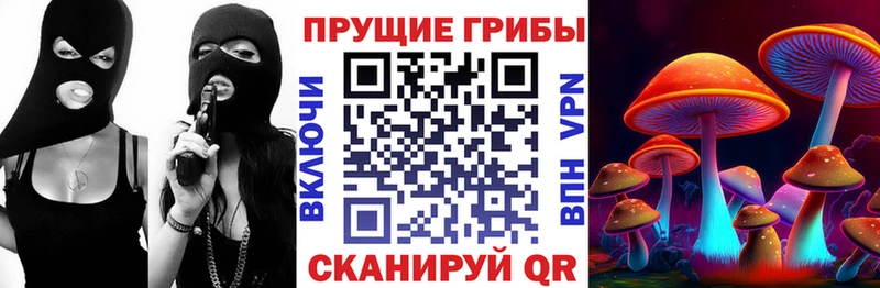 купить закладку  Курск  Галлюциногенные грибы GOLDEN TEACHER 